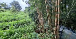 Tanah kebun los sungai dekat dengan villa dan akses treking ke air terjun singsing angin di selemadeg