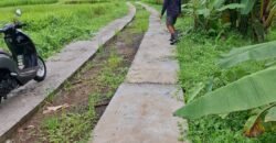 Tanah kebun los sungai dekat dengan villa dan akses treking ke air terjun singsing angin di selemadeg