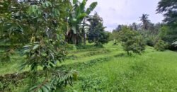 Tanah kebun los sungai dekat dengan villa dan akses treking ke air terjun singsing angin di selemadeg
