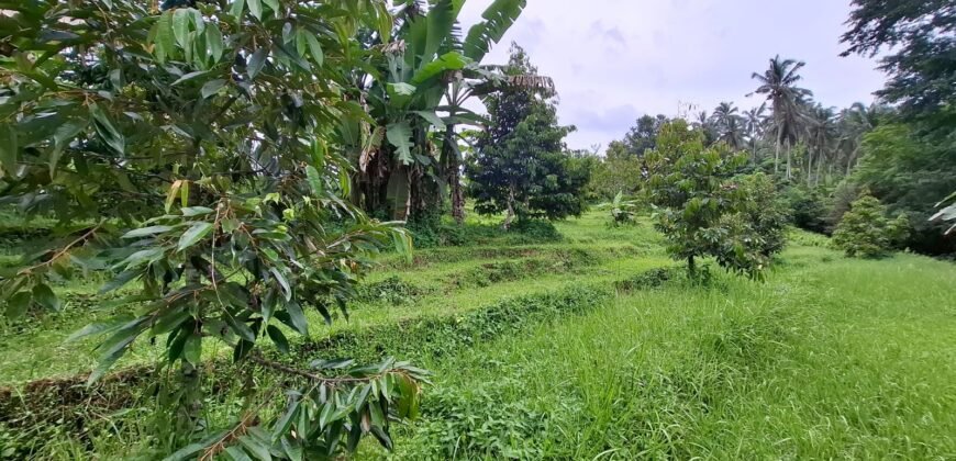 Tanah kebun los sungai dekat dengan villa dan akses treking ke air terjun singsing angin di selemadeg