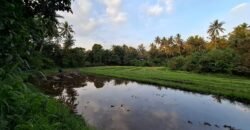 Tanah kebun view sawah terasering kontur datar