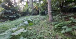 Tanah kebun view sawah terasering kontur datar