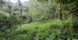 Tanah kebun sangat langka view air terjun dan los sungai