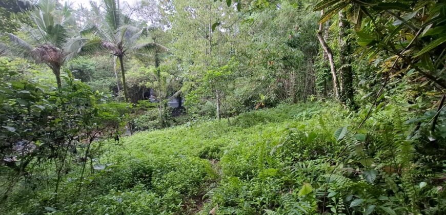 Tanah kebun sangat langka view air terjun dan los sungai