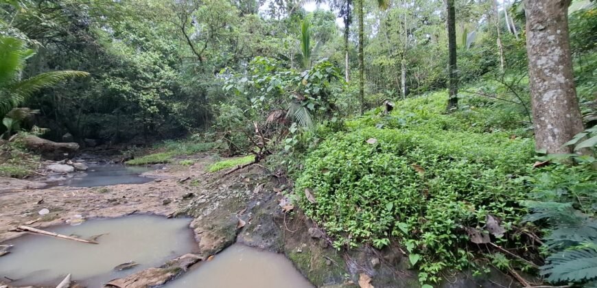 Tanah kebun sangat langka view air terjun dan los sungai