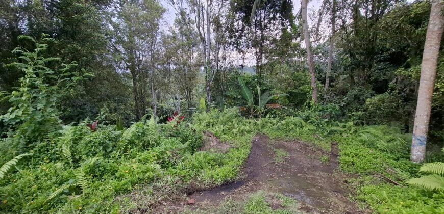 Tanah kebun sangat langka view air terjun dan los sungai