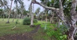 Tanah view los pantai Jembrana