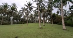 Tanah view los pantai Jembrana