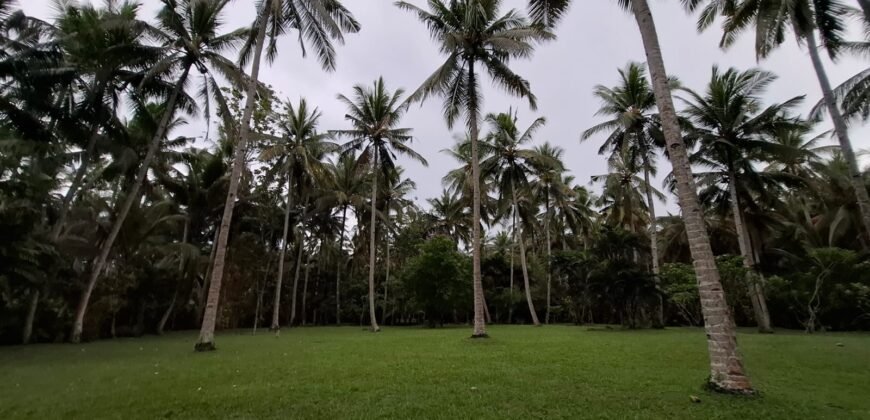 Tanah view los pantai Jembrana