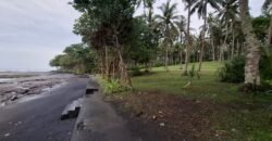 Tanah view los pantai Jembrana