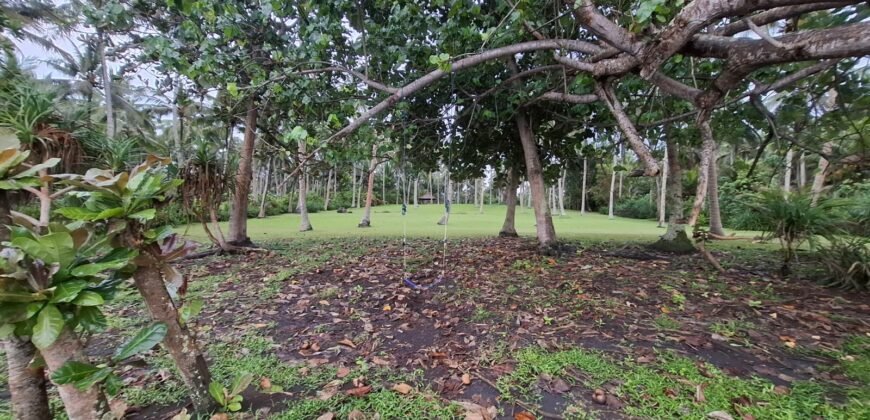 Tanah view los pantai Jembrana