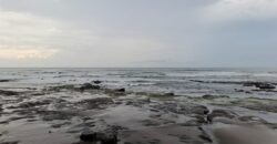 Tanah kebun los pantai tempat bermain surfing di jembrana
