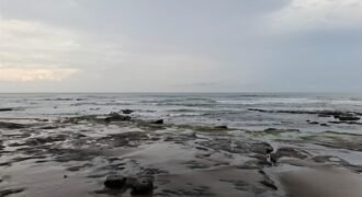 Tanah kebun los pantai tempat bermain surfing di jembrana