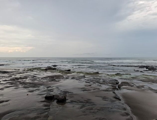 Tanah kebun los pantai tempat bermain surfing di jembrana