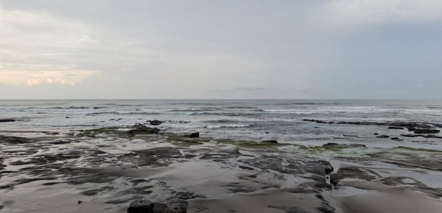 Tanah kebun los pantai tempat bermain surfing di jembrana