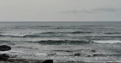 Tanah kebun los pantai tempat bermain surfing di jembrana