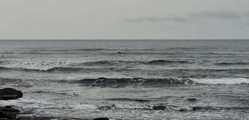 Tanah kebun los pantai tempat bermain surfing di jembrana
