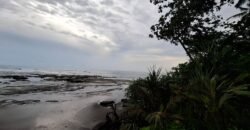 Tanah kebun los pantai tempat bermain surfing di jembrana