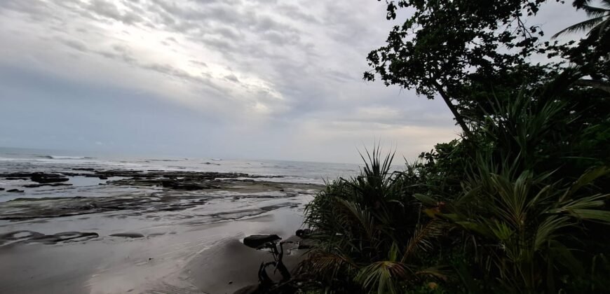 Tanah kebun los pantai tempat bermain surfing di jembrana