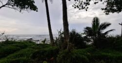 Tanah kebun los pantai tempat bermain surfing di jembrana