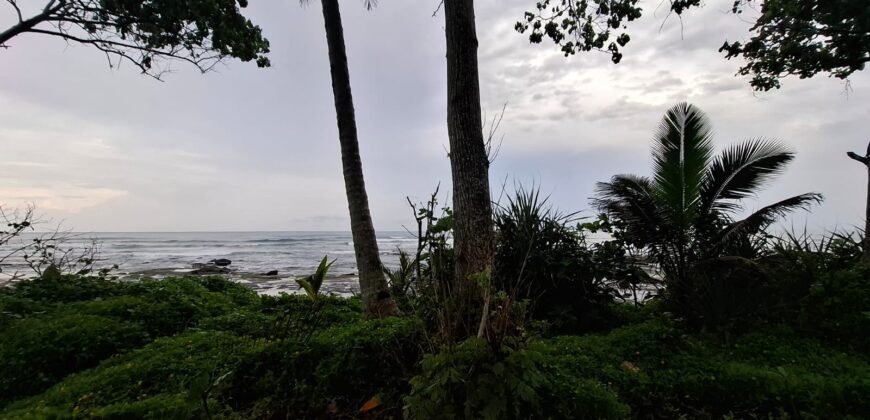 Tanah kebun los pantai tempat bermain surfing di jembrana