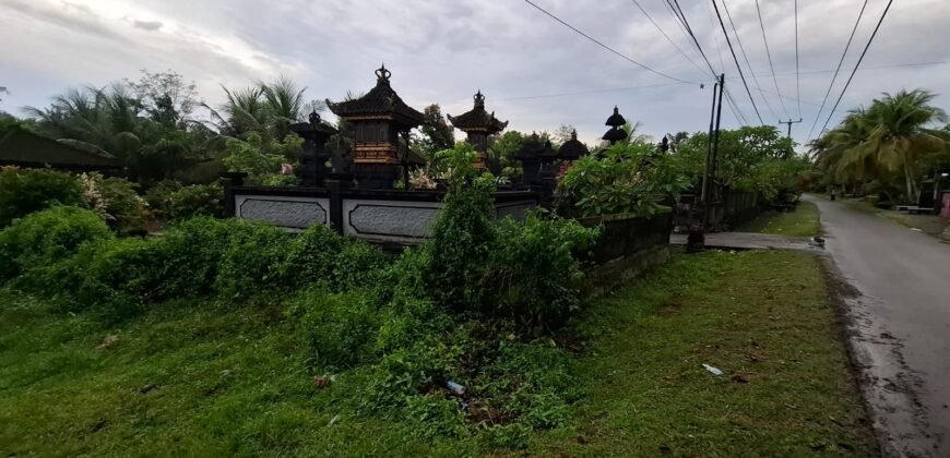 Tanah kebun los pantai tempat bermain surfing di jembrana