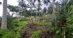 Tanah kebun los pantai tempat bermain surfing di jembrana