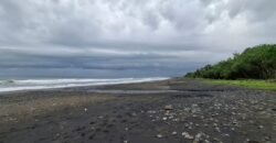 Tanah sawah view pantai medewi