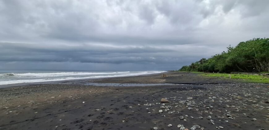 Tanah sawah view pantai medewi