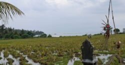 Tanah sawah view pantai medewi