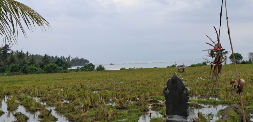 Tanah sawah view pantai medewi
