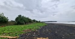 Tanah sawah view pantai medewi