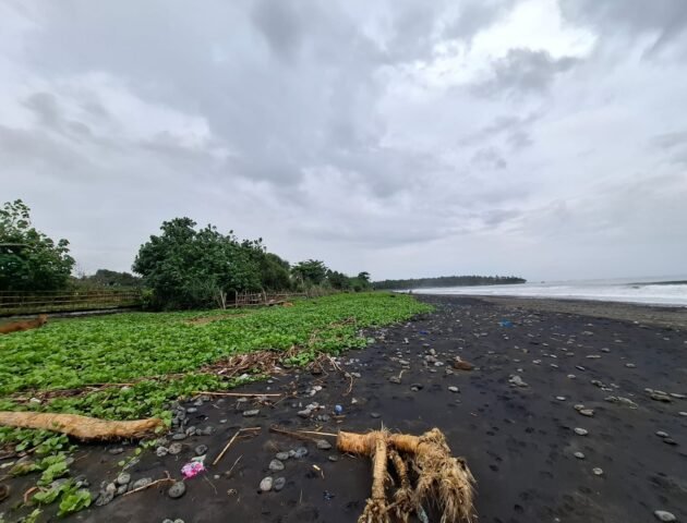 Tanah sawah view pantai medewi