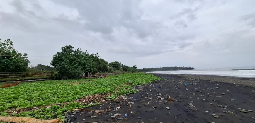 Tanah sawah view pantai medewi