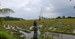 Tanah sawah view pantai medewi