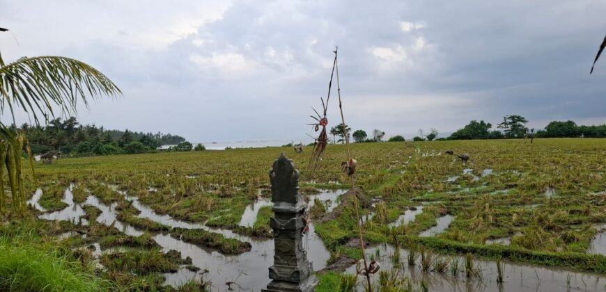 Tanah sawah view pantai medewi