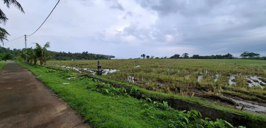 Tanah sawah view pantai medewi
