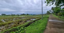 Tanah sawah view pantai medewi