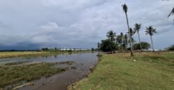 Tanah kebun los pantai dengan view sawah dan perbukitan