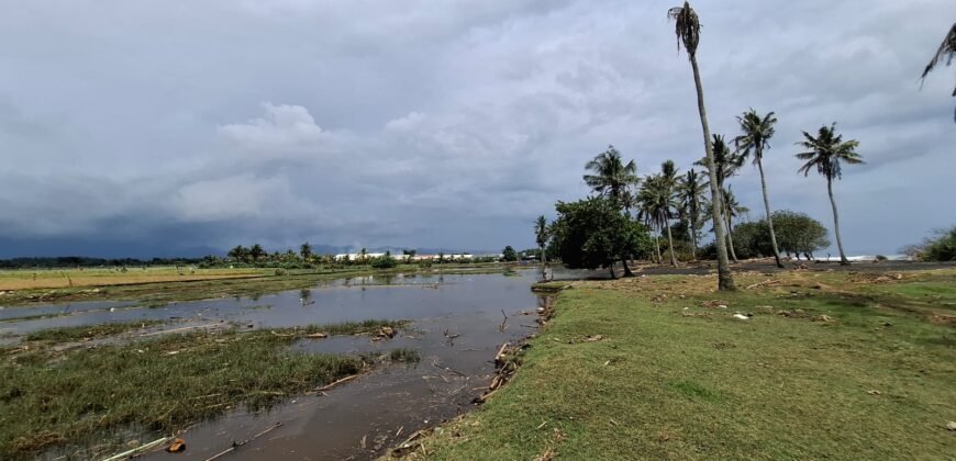 Tanah kebun los pantai dengan view sawah dan perbukitan