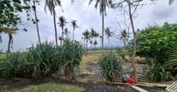 Tanah kebun los pantai dengan view sawah dan perbukitan