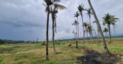Tanah kebun los pantai dengan view sawah dan perbukitan