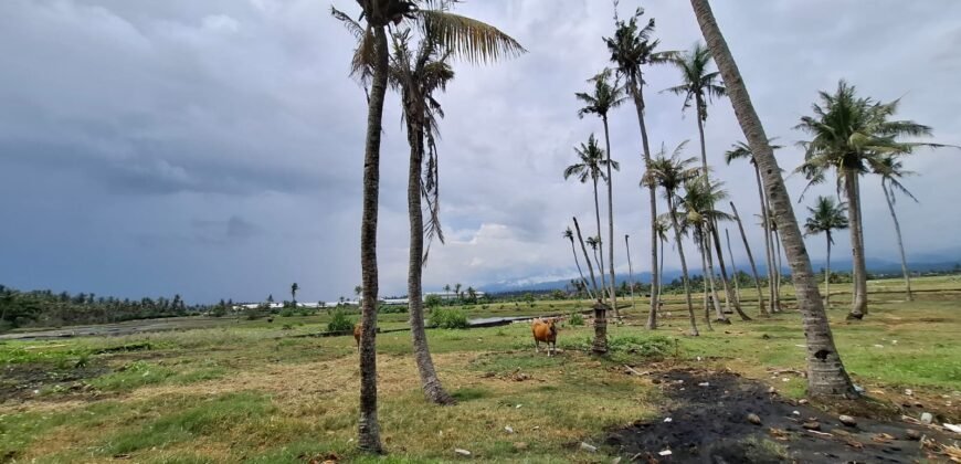 Tanah kebun los pantai dengan view sawah dan perbukitan