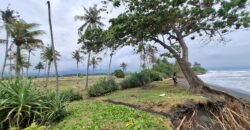 Tanah kebun los pantai dengan view sawah dan perbukitan