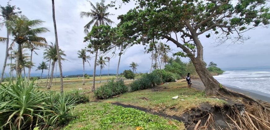 Tanah kebun los pantai dengan view sawah dan perbukitan