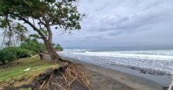 Tanah kebun los pantai dengan view sawah dan perbukitan