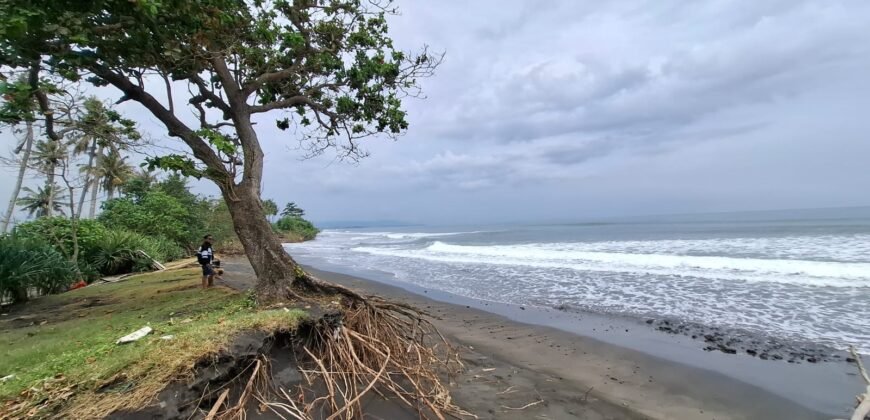 Tanah kebun los pantai dengan view sawah dan perbukitan