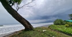 Tanah kebun los pantai dengan view sawah dan perbukitan