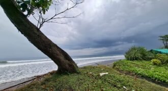 Tanah kebun los pantai dengan view sawah dan perbukitan