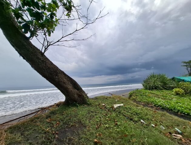 Tanah kebun los pantai dengan view sawah dan perbukitan
